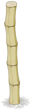 Bamboo - plant - Designer's Pick PNG