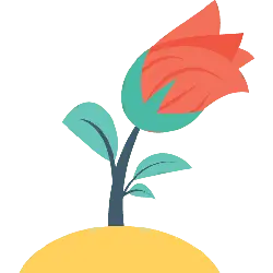 Red Flower - growth - High Resolution PNG
