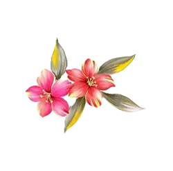 Pink Flowers - pink - Designer Recommended PNG