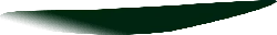 Green Leaf - leaf - Recommended PNG