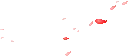 Red Petals Falling - petal - Popular Download PNG