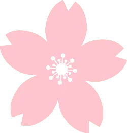 High Resolution PNG - pink - Cherry Blossom - Pic 4