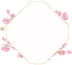 Gray Rhombus Frame Decoration - frame - No Watermark PNG