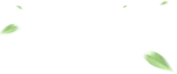 Leaves Falling - nature - Transparent Layer PNG