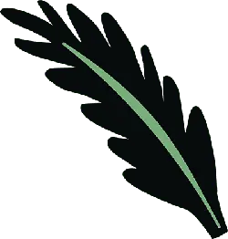 Feather - simple - nature - High Resolution PNG