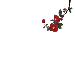 Red Flowers - leaf - High Resolution PNG