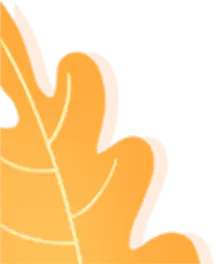 Oak Leaf - nature - autumn - PNG