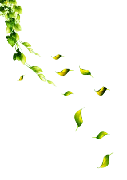 Leaves Falling - green - Free for Commercial Use PNG