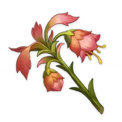 Red Flowers - plant - illustration - Transparent Background PNG