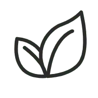 Three Leaves - Transparent Background PNG