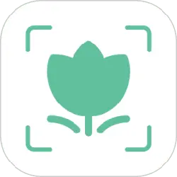 Green Flower Icon - growth - PNG