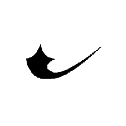 Black Cat - animal - No Background PNG - Pic 25