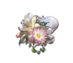 Bouquet - Lossless PNG