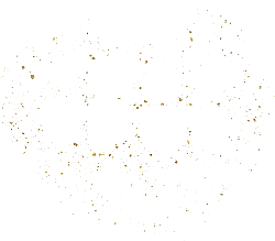 Butterfly - High Resolution PNG