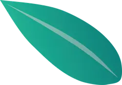 Leaf - PNG Images - High Resolution PNG