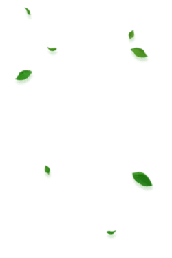 Green Leaves - harmony - Free PNG