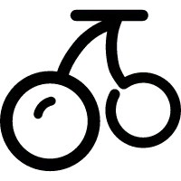 Black Owl - No Background PNG - night hunter - Pic 5