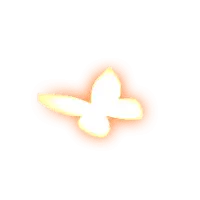 Butterfly - PNG - nature