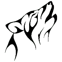 No Background PNG - Black Owl - mysterious