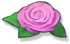 Rose - green leaves - flower - No Watermark PNG