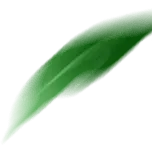 Green Leaf - Free Download PNG - Transparent Layer PNG
