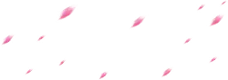 Pink Petals - Curated PNG - Recommended PNG
