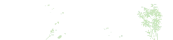 Bamboo - Lossless PNG - Transparent Layer PNG