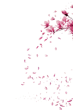 Cherry Blossom Tree - nature - Lossless PNG