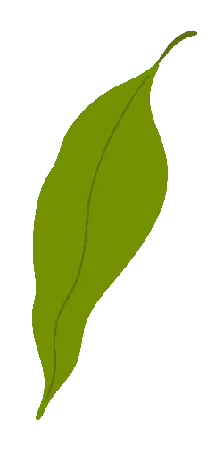 Leaf - stem - Fast Download PNG