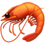 Shrimp - food - animal - PNG