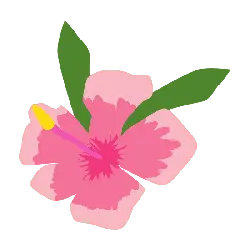 Pink Flower - Highly Rated PNG - Free for Commercial Use PNG