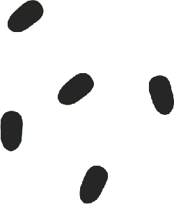 Black Ellipse Patterns - graphic design - PNG Images