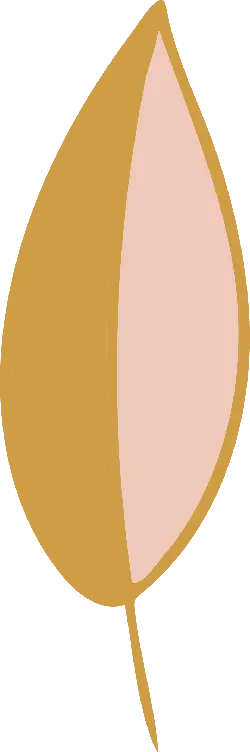 Peach - sweet ediable - Free PNG