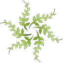 Snowflake - green - High Resolution PNG
