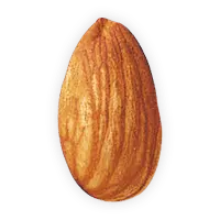 Almond - snack - No Background PNG