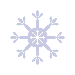 Snowflake - winter - Curated PNG