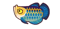 Colorful Fish - Fast Download PNG