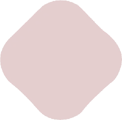 Brown Square - simple style - Transparent Background PNG