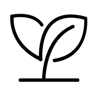 Clover - High Resolution PNG - leaves