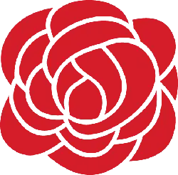 Red Rose - pattern - Transparent Background PNG