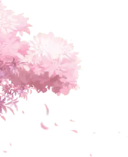 Pink Flowers - PNG Images - spring