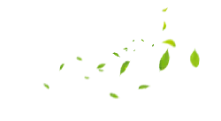 Falling Leaves - falling - Popular Download PNG