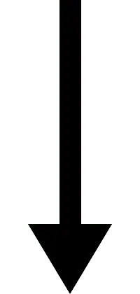 Black Cat - animal - night animal - No Background PNG