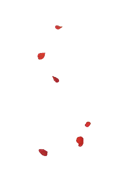 Red Petals - red - art - Lossless PNG