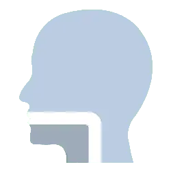 Profile Silhouette - graphic design - No Background PNG