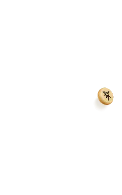 Yellow Peach - yellow - No Background PNG