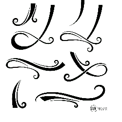 Black Owl - Transparent Background PNG