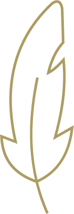 Feather - art - Fast Download PNG