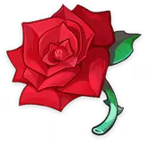Red Rose - Transparent Background PNG - Designer's Pick PNG