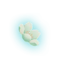 White Flower - beautiful - Curated PNG